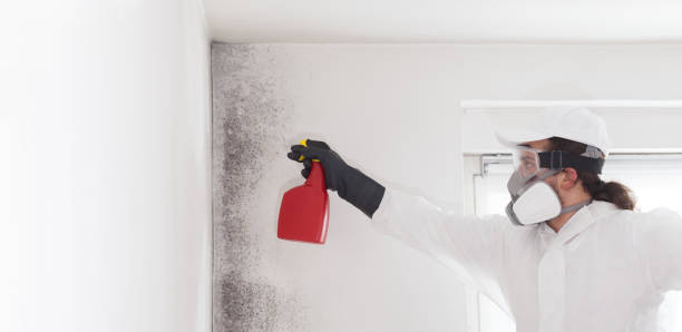Best Office Mold Removal Services  in Anderson Island, WA