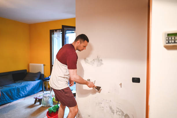 Best Mold Cleaning Services  in Anderson Island, WA